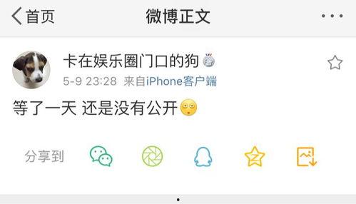 瓜瓜今天吃瓜最新爆料,揭秘娱乐圈最新爆料大揭秘